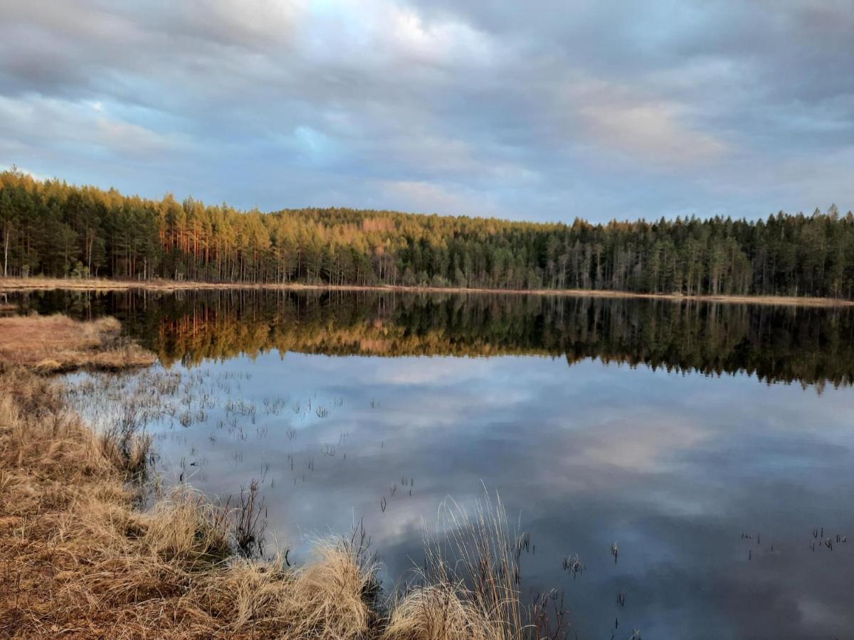 Davids Stuga Klassbol ภายนอก รูปภาพ
