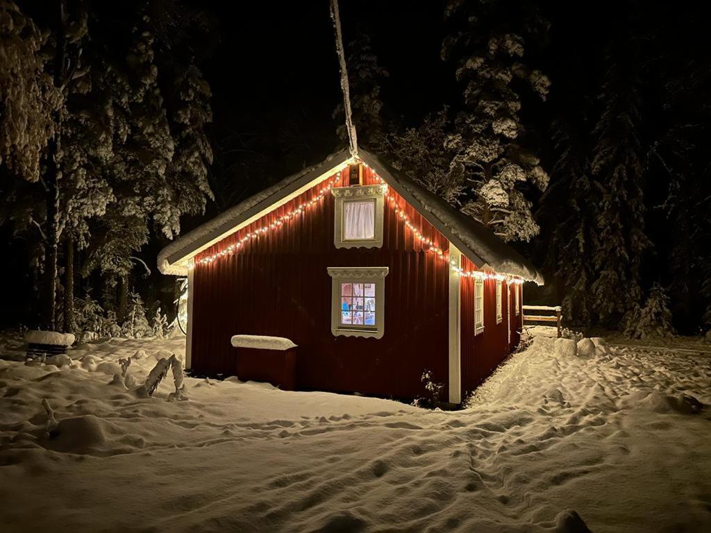 Davids Stuga Klassbol ภายนอก รูปภาพ